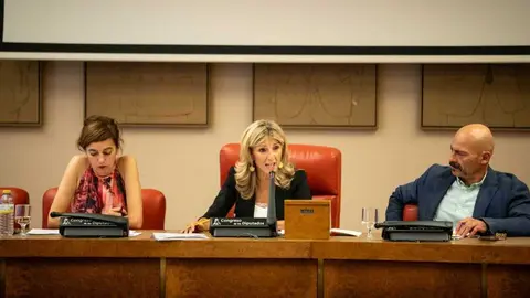 Yolanda D&iacute;az ante el grupo parlamentario de Sumar - Foto de Sumar