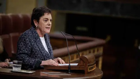 Mertxe Aizpurua en una intervenci&oacute;n en el Congreso | Foto del Congreso de los Diputados