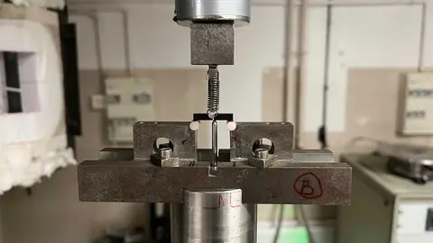 Pr&oacute;tesis - CSIC