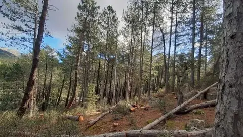 Valle del Lozoya - Foto Comunidad de Madrid