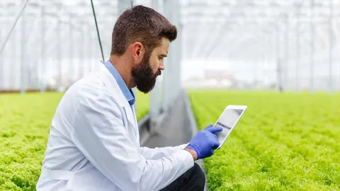 Investigador  estudia plantas con una tableta de pie en el invernadero - Foto de Freepik