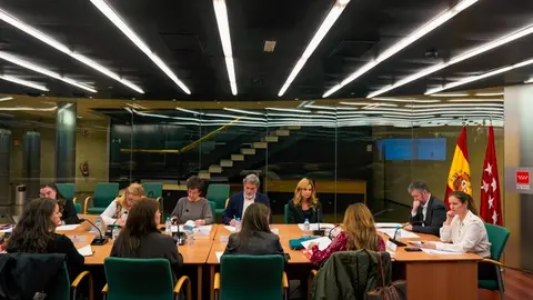 Los consejeros Garc&iacute;a Mart&iacute;n y D&aacute;vila, presidiendo la reuni&oacute;n del Observatorio Regional de la Violencia de G&eacute;nero - Foto Comunidad de Madrid