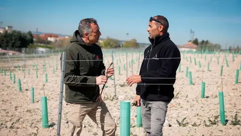El consejero Novillo, durante su visita a la Cooperativa Vin&iacute;cola de Arganda - Foto Comunidad de Madrid