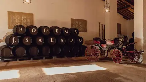 Bodegas Salado Sevilla