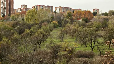Huerta de Mena