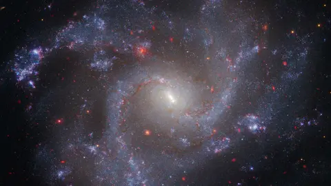 Imagen de NGC 5468, una galaxia situada a unos 130 millones de a&ntilde;os luz de la Tierra. / NASA, ESA, CSA, STScI, Adam Riess (JHU, STScI)