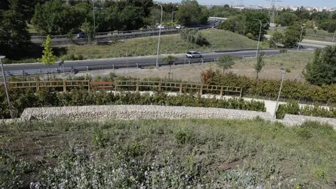 Paisaje del borde forestal de Orcasitas