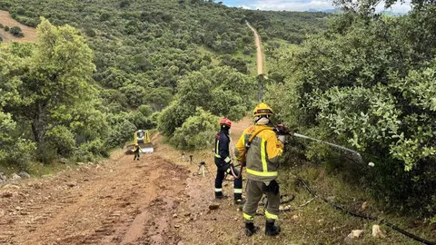 Incendios forestales