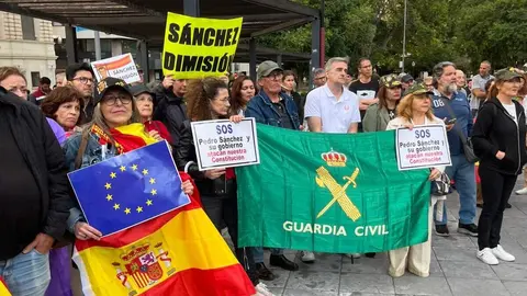 Manifestaci&oacute;n Alicante