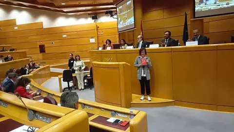 La directora ejecutiva del Cermi, Pilar Villarino, recoge el premio en el Senado - Foto de Cermi