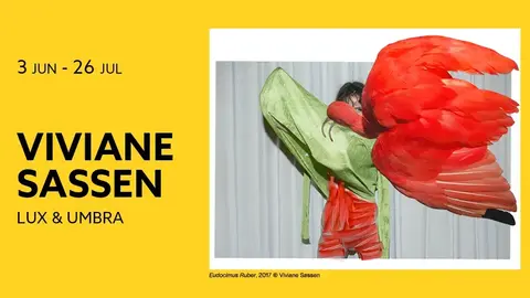 PHotoESPA&Ntilde;A26 - LUX & UMBRA de Viviane Sassen