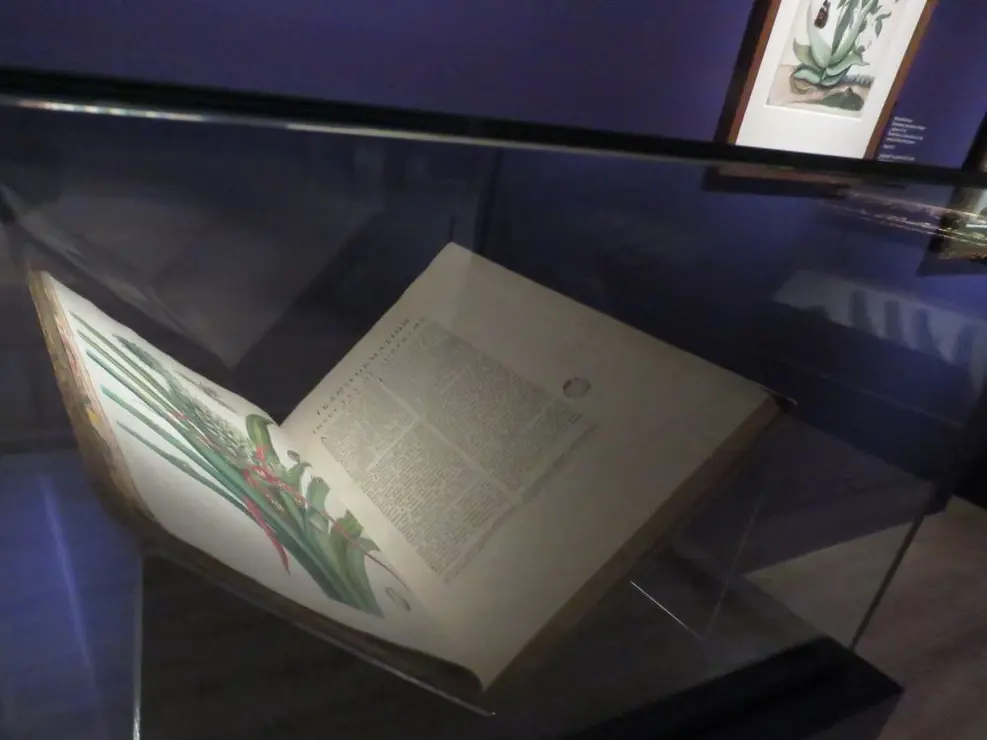 Exposición Maestras, en el Museo Nacional Thyssen-Bornemisza (66)
