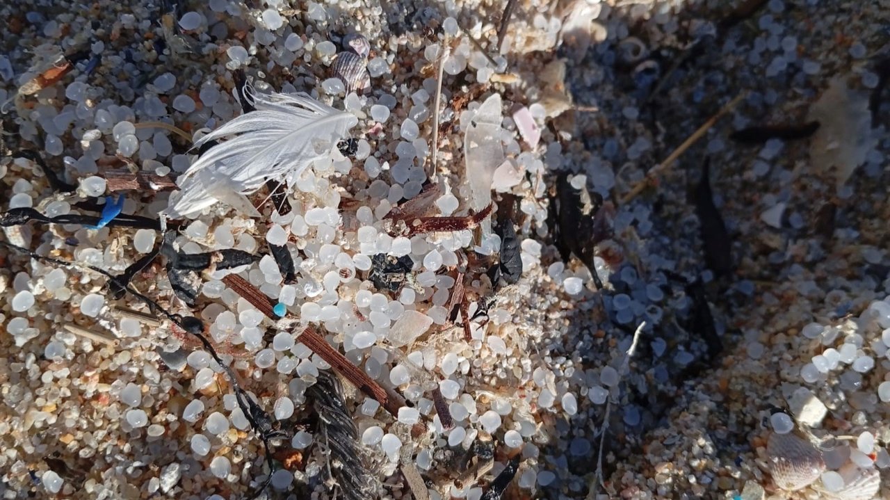 Pellets de plástico en una zona costera de Galicia - Foto de Greenpeace