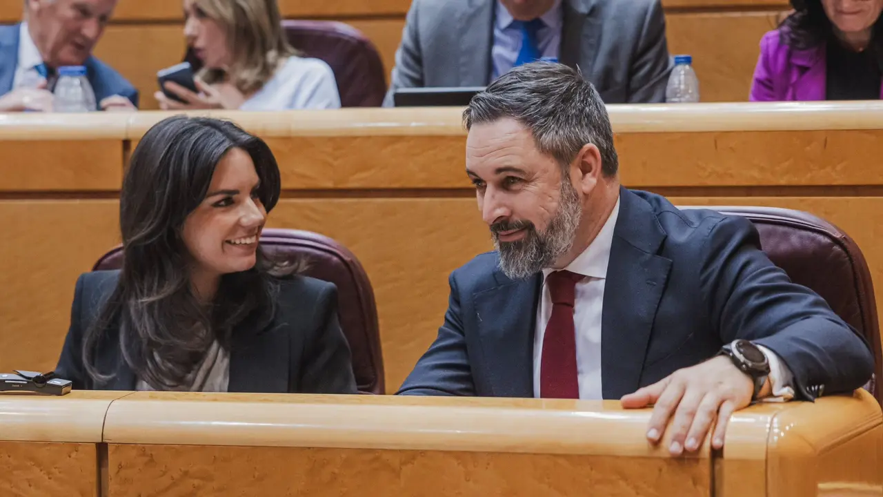 Pepa Millán junto a Santiago Abascal esta semana en el Senado - Foto de Pepa Millán