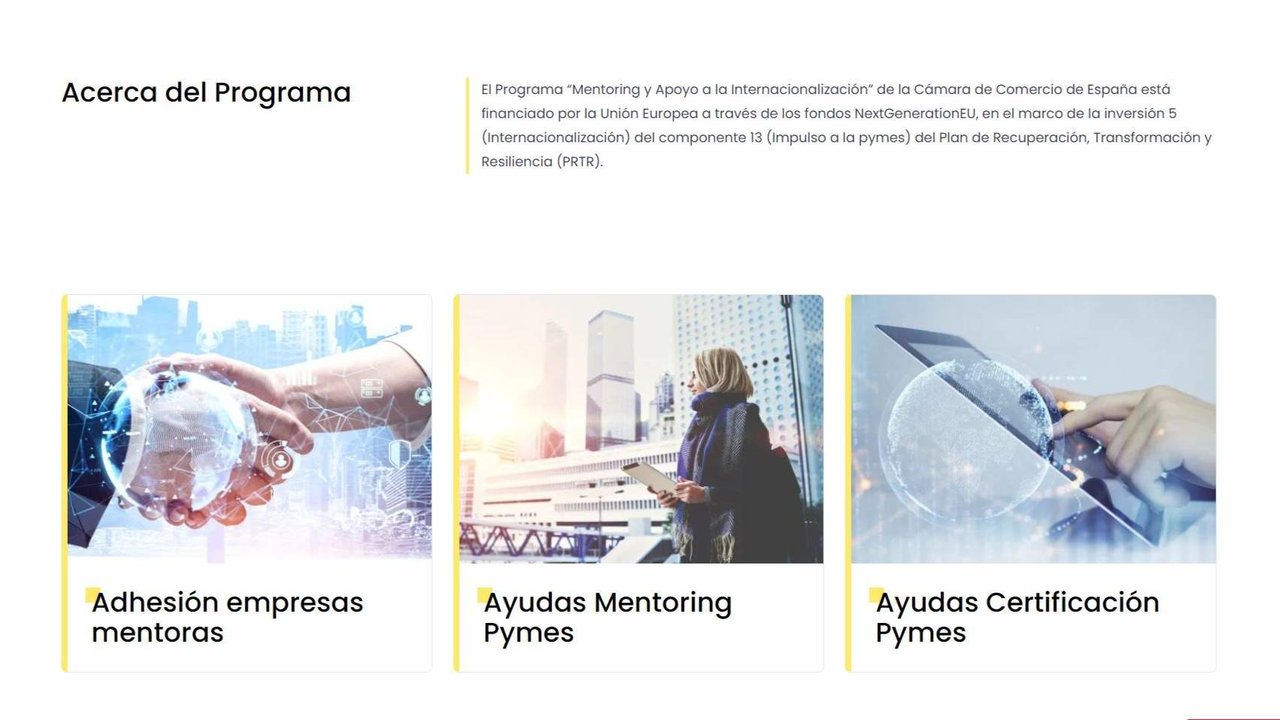 Programa Mentoring Cámara de Comercio de España - web Programa Mentoring