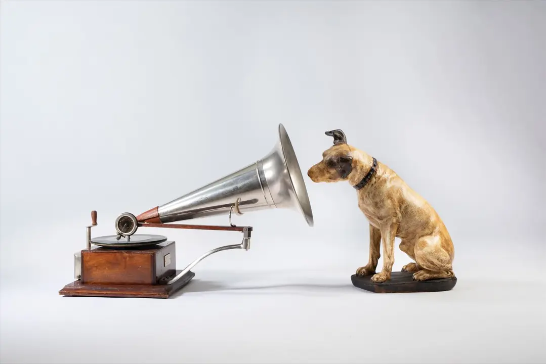 Exposiciones de arte contemporáneo, fotografía y artes gráficas por Madrid 6 - Comunidad de Madrid