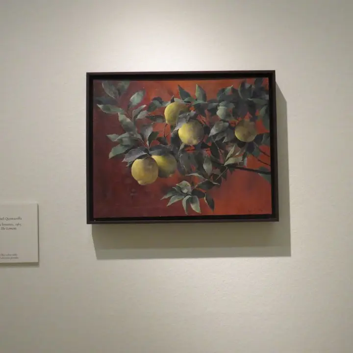 Foto 43