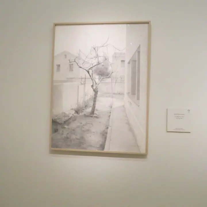 Foto 41