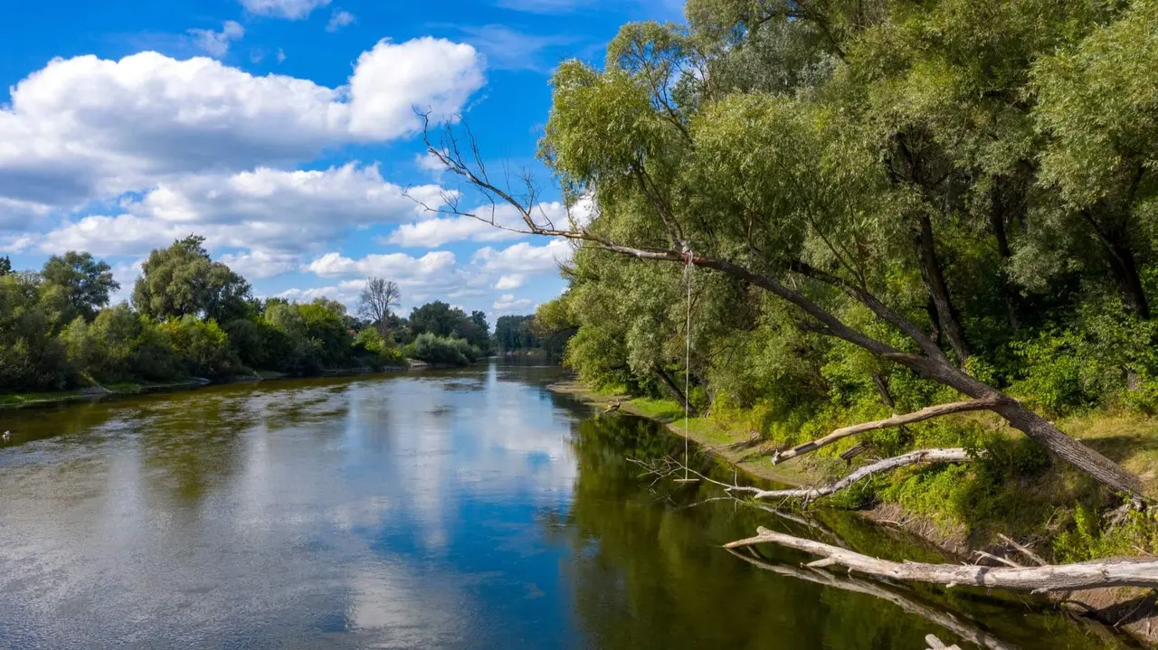 Tramo fluvial Foto de -123R/Fronedya