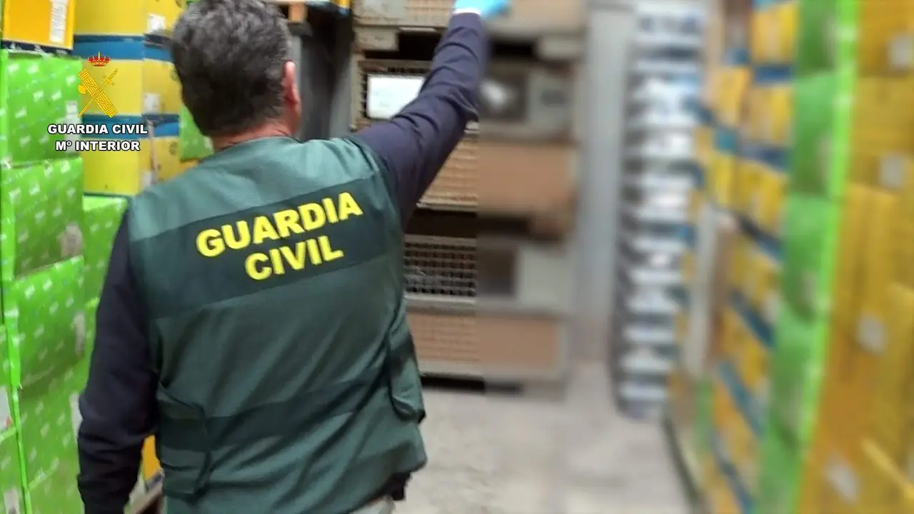 Uno de los registros realizados en la operación - Foto de la Guardia Civil