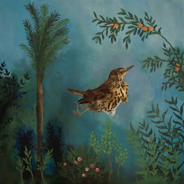 Elena de la Rua. Paradise eats flesh