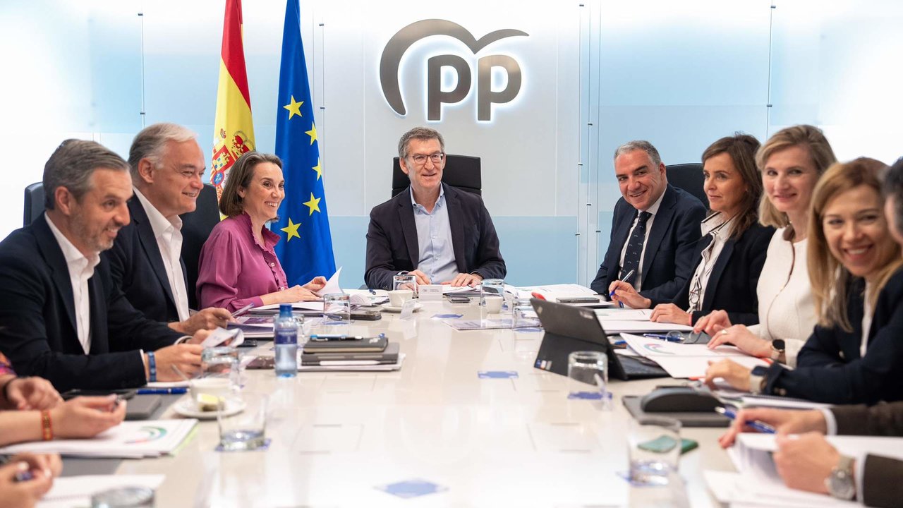Feijóo preside el Comité de Dirección del Partido Popular - Diego Puerta/PP