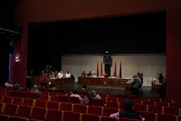 Pleno del Ayuntamiento de Alcorcón | Foto de Ayuntamiento de Alcorcón