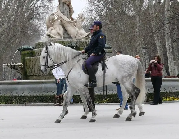 Caballos de la Policía en El Retiro