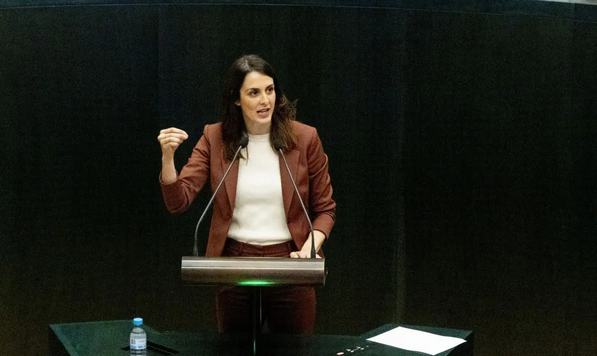 Rita Maestre en un Pleno - Foto Más Madrid