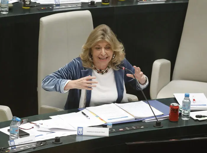 La delegada de Economía, Innovación y Hacienda, Engracia Hidalgo, en un momento de su intervención