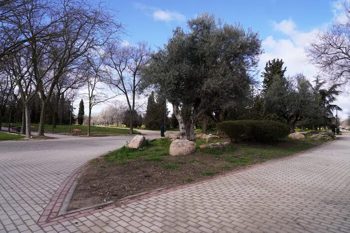 Imágenes de archivo de las diferentes fases de rehabilitación del parque de Las Cruces, ubicado entre los distritos de Carabanchel y Latina