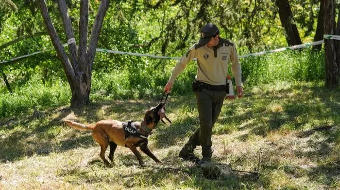 Madrid refuerza su unidad canina de agentes forestales con cuatro nuevos perros y tres guías - Comunidad de Madrid