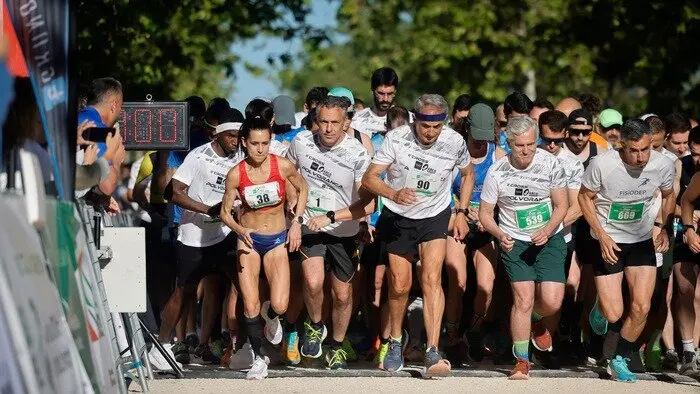 II Cross Arco Verde