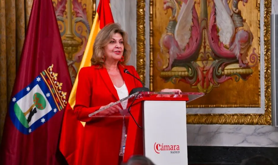 La delegada de Economía, Innovación y Hacienda, Engracia Hidalgo - Foto Ayuntamiento de Madrid