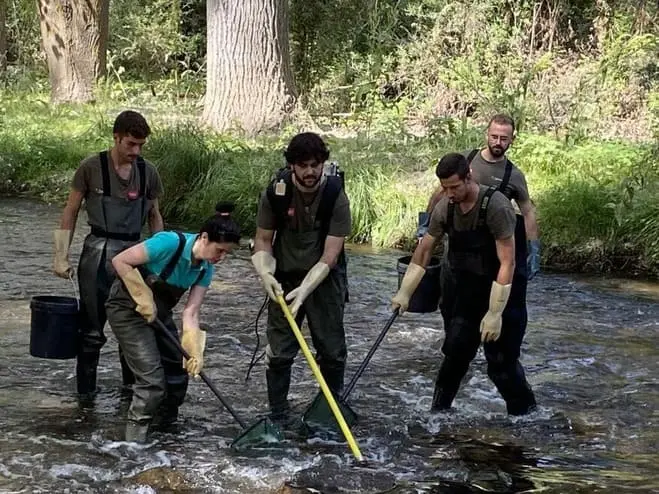 Imagen de cabecera #0 de la página de "La Comunidad de Madrid rescata cerca de 400 barbos comunes aislados en el arroyo de Valdezate"