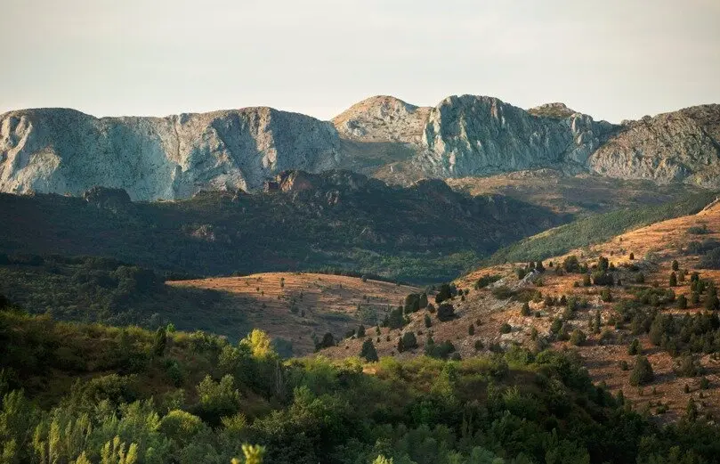 Montes - Freepik