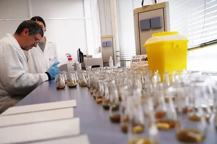 Imagen de archivo de análisis en el Laboratorio de Salud Pública
