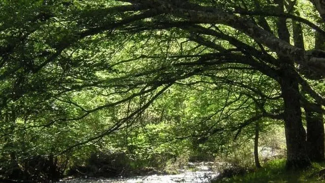 Actividades biodiversidad - Comunidad de Madrid