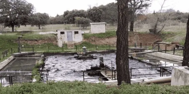 "Batidora" de la urbanización de Ciudalcampo. Durante décadas se limitada a remover los lodos de aguas fecales antes de su vertido al cercano río Guadalix.