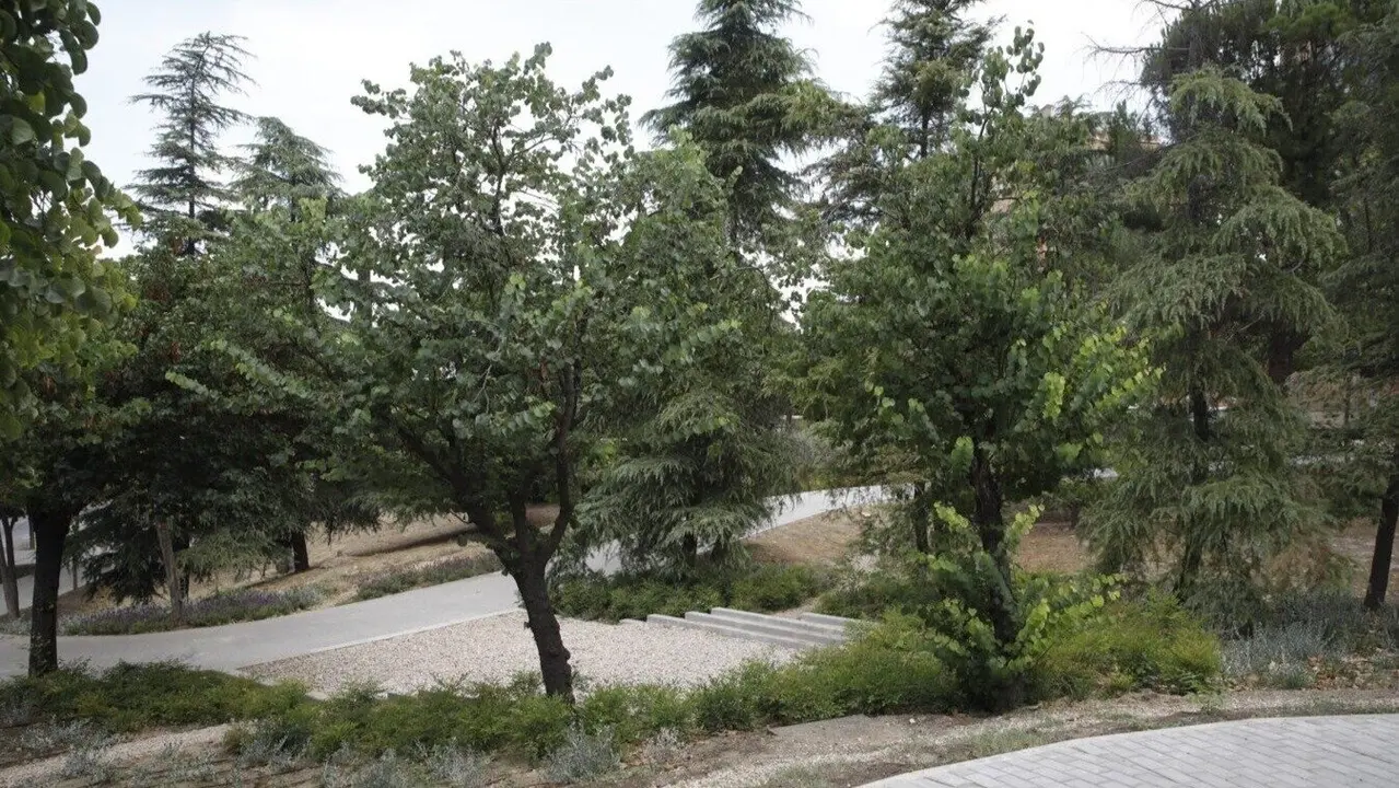 Zonas verdes y caminos en el Parque la Vina (Madrid) - Ayuntamiento de Madrid