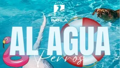 'Al Agua Perros' Parla - Foto Ayuntamiento de Parla