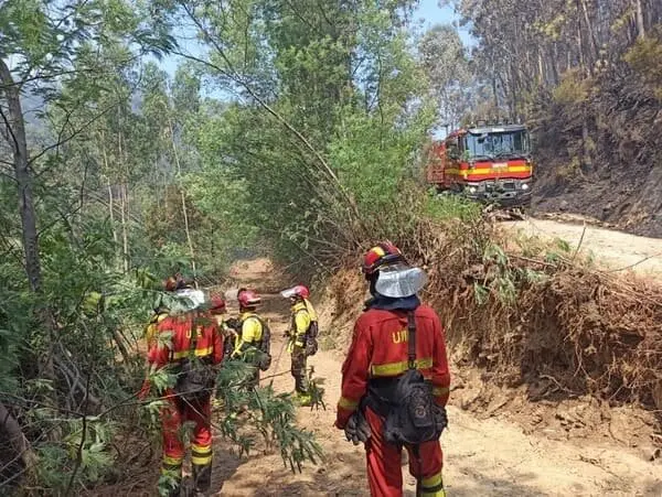 Un grupo de militares intenta apagar un incendio en Pontevedra | Foto de la UME