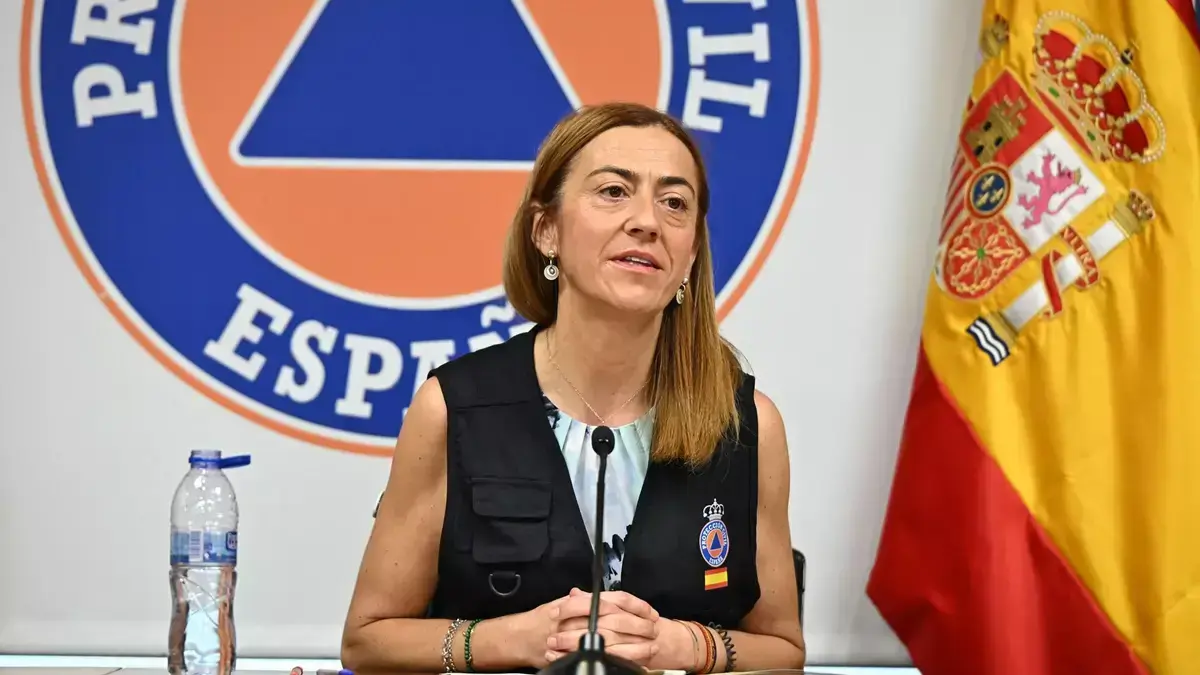 La directora general de Protección Civil en la interneción| Foto Miteco