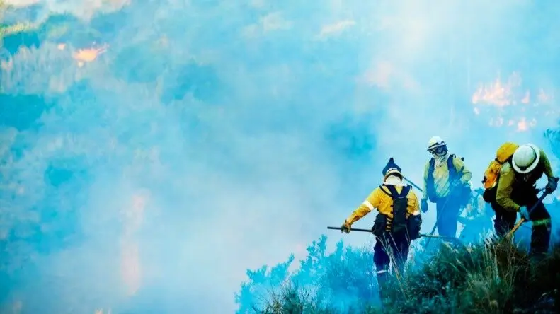 Brigadas forestales - Foto de 123RF/peopleimages12