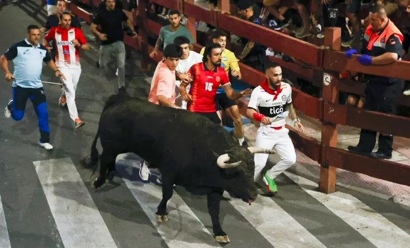 Encierro nocturno San Sebastián de los Reyes - Foto Ayuntamiento San Sebastián de los Reyes