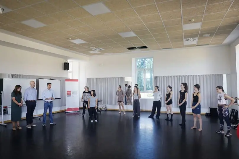 Auxiliares de danza