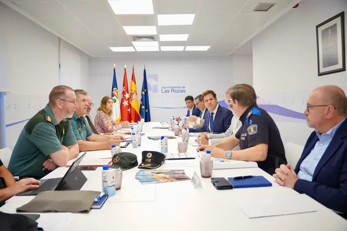 JUNTA LOCAL SEGURIDAD LAS ROZAS