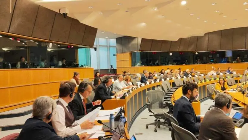 Intervención de Amalio de Marichalar, coordinador de “De Español a Español por la Constitución” en el Parlamento Europeo