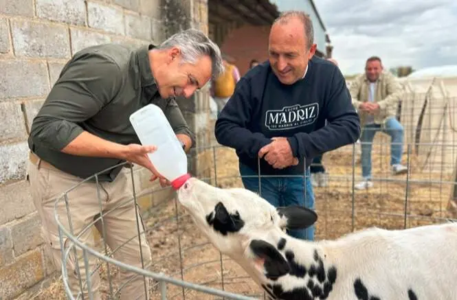 El consejero Novillo, durante su visita, en Villa del Prado, a la cooperativa que fabrica Leche Madriz  - Foto Comunidad de Madrid