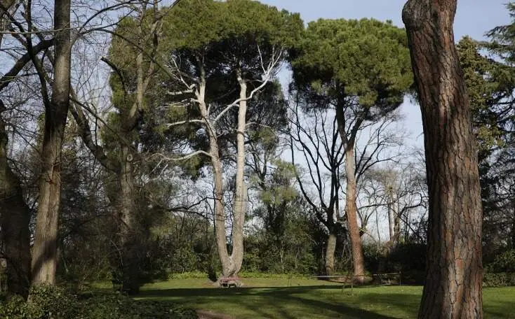 Parque El Capricho. Imagen de archivo Ayuntamiento de Madrid